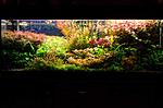 L DSC 0528