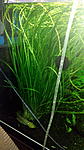 IMG 20150216 213841