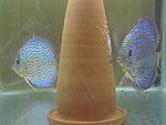 IMG 6670