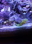 IMG 20150302 201521