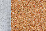 AF2B4664 copy