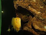 DSCF4059