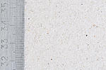 AF2B4668 copy
