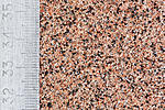 AF2B4676 copy