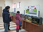 IMG 3556