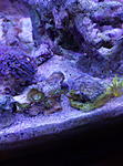 IMG 20150302 201541
