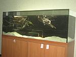 IMG 3003