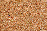 AF2B4663 copy
