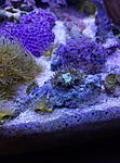 IMG 20150302 201502