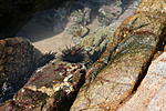 IMG 8451