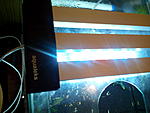 IMG 20150313 193845