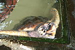 IMG 8938