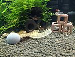 IMG 0907