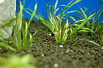 DSC 0191