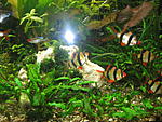 IMG 8431