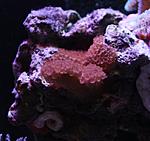 IMG 7423