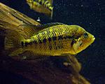IMG 5745