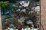 IMG 7764