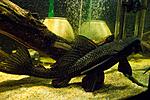 IMG 5741