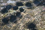 IMG 8459