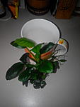 IMG 20150314 144502