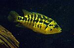 IMG 5747