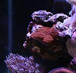 IMG 7419