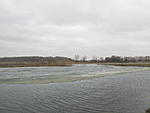 IMG 5029