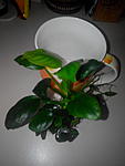 IMG 20150314 144459