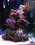 IMG 7418