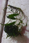2015 03 10 02.22.13