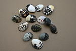IMG 1139       - ,  .