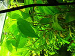 P3060068