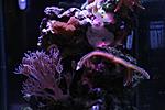 IMG 7422