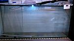 ^7A33B0095D2251CCC37D694049503D43DE00BA3DA846F1918A^pimgpsh fullsize distr