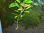 P3060077