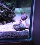 IMG 7420