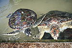 IMG 8957