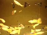 MOV01064 06