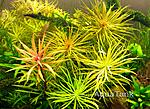 IMG 20150309 145129