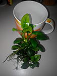 IMG 20150314 144420