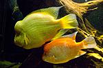 IMG 5739