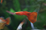IMG 8515