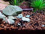 IMG 20150328