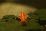 IMG 8273
