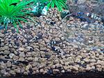 IMG 20150328