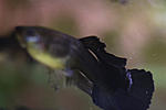 IMG 8398