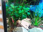 IMG 20150328