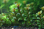 IMG 8479