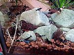 IMG 20150328
